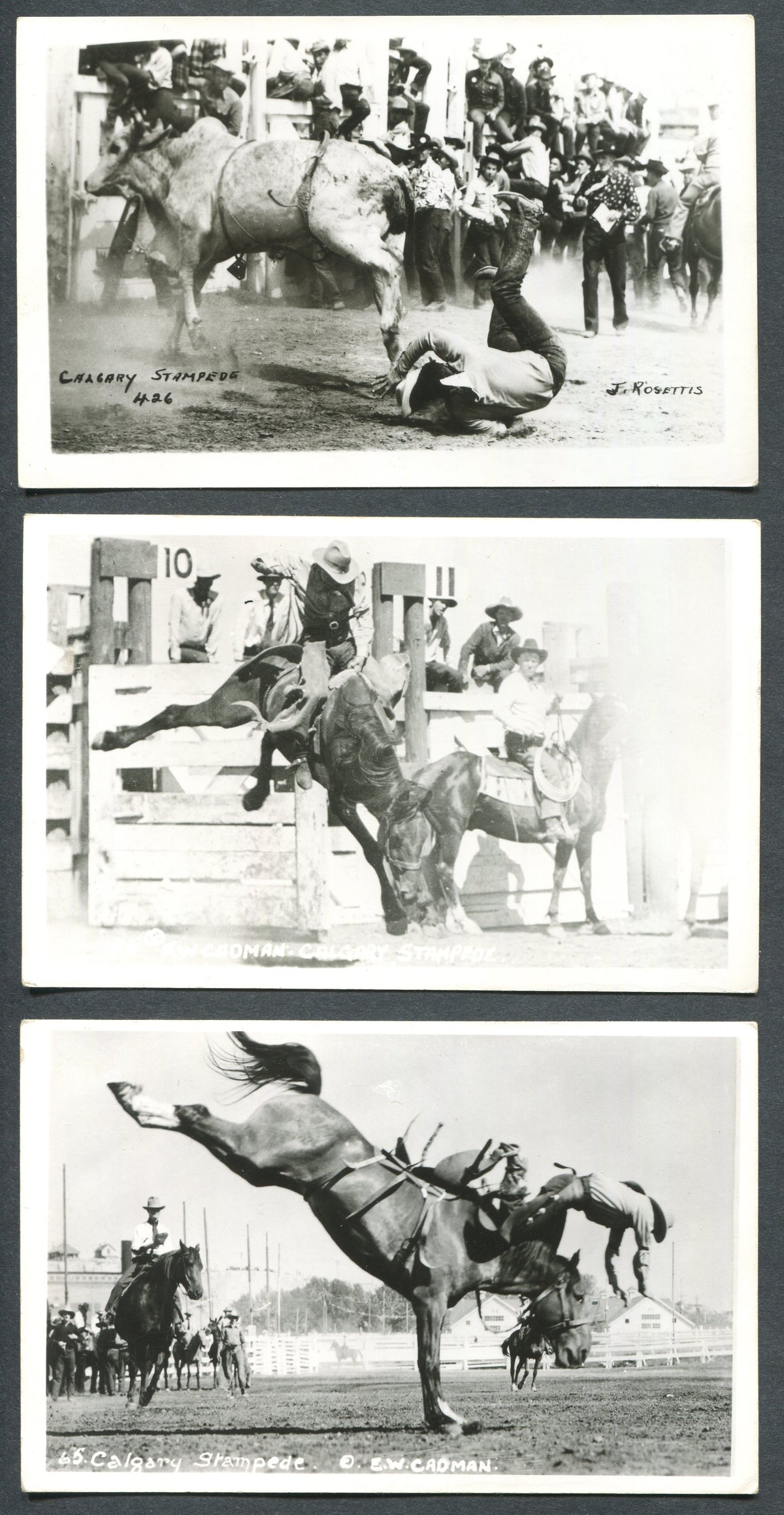 0001CS1910 - Calgary Stampede Postcard Collection