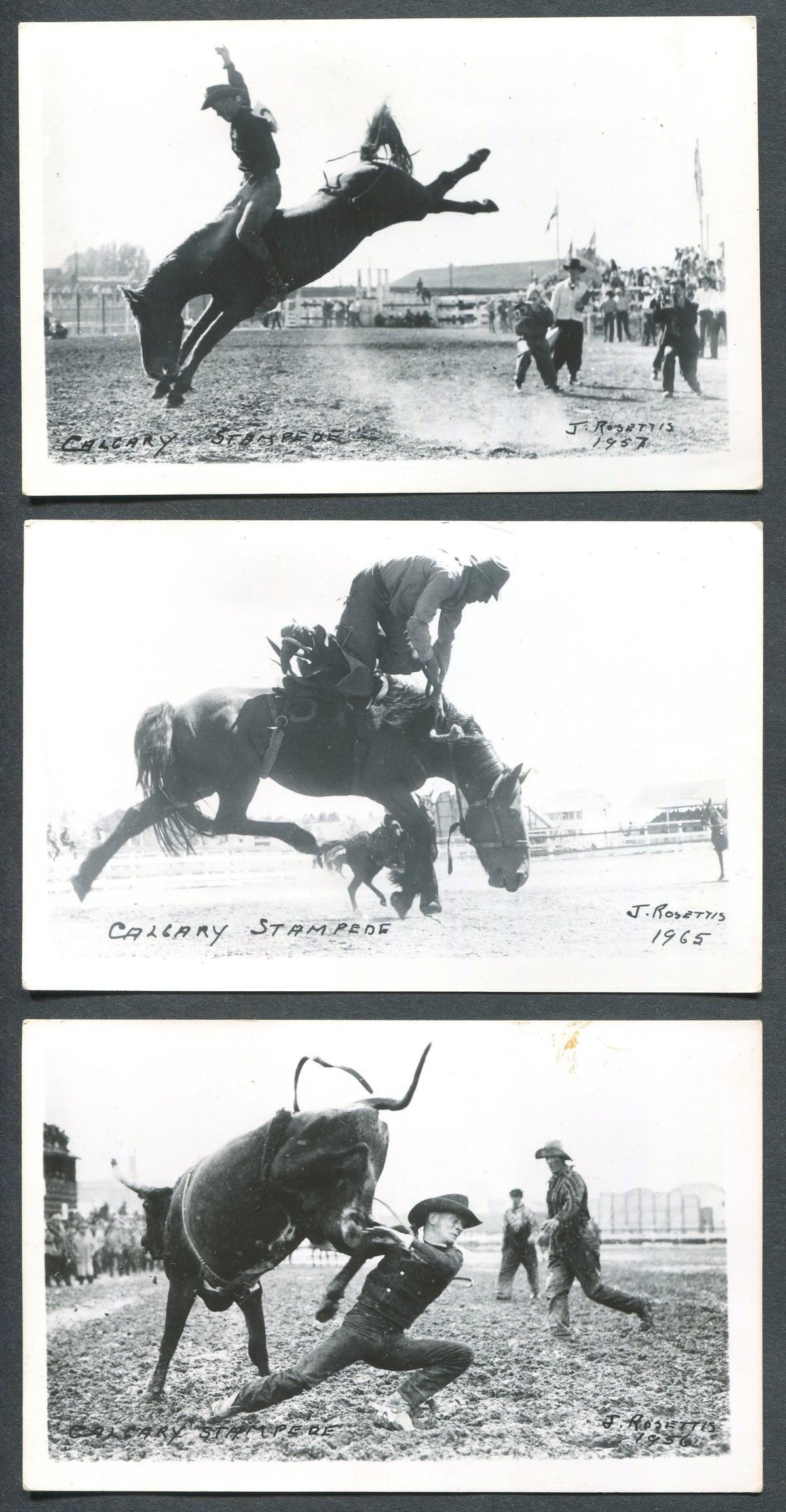 0001CS1910 - Calgary Stampede Postcard Collection