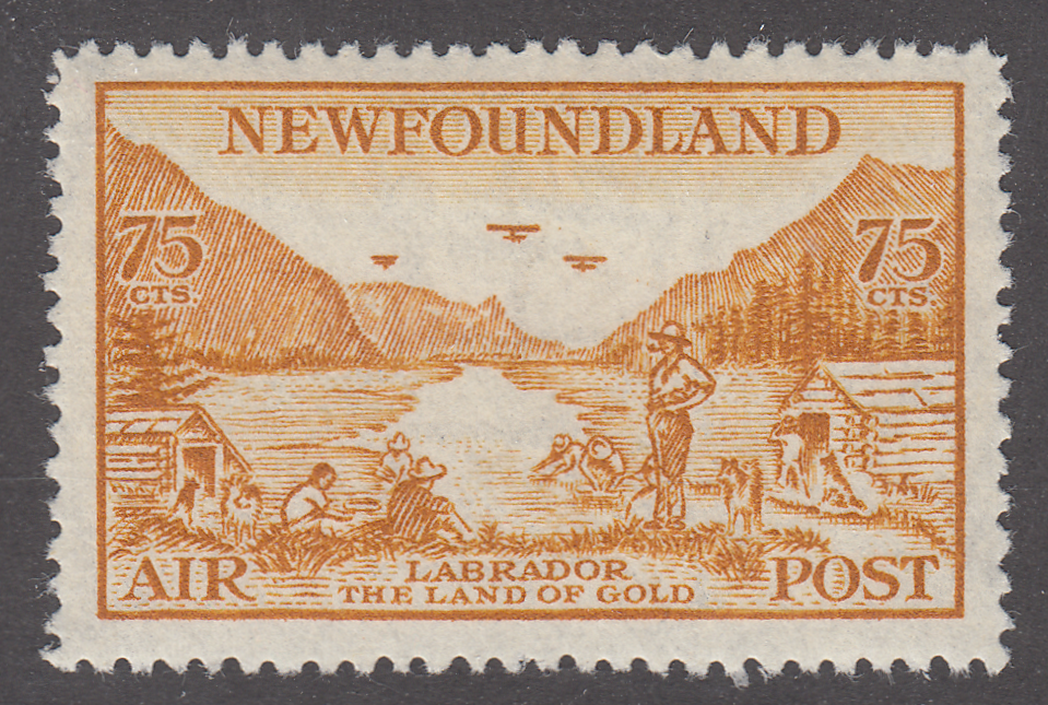 0287NF2202 - Newfoundland C17iii - Mint