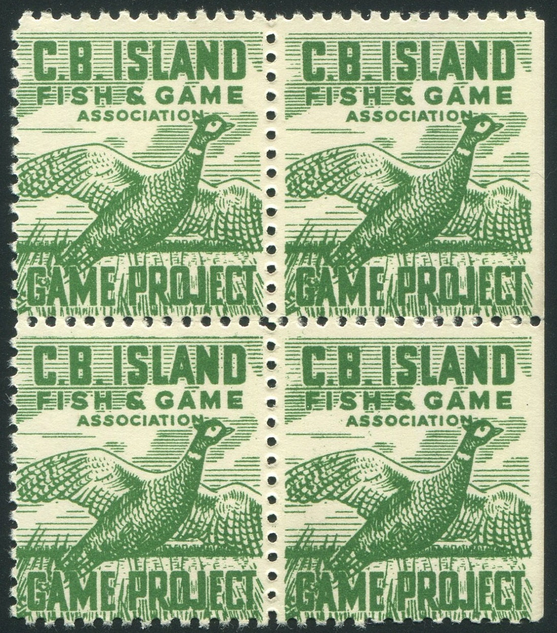 0089NS2505 - NSG1 - Mint Block of 4