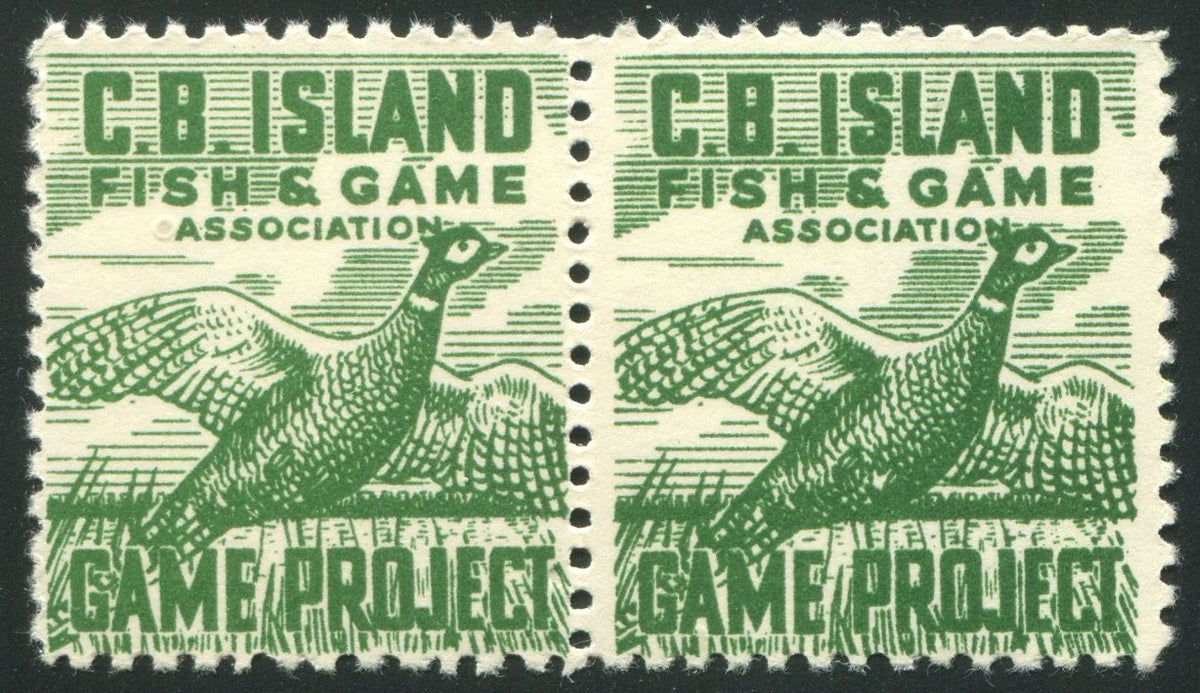 0089NS2505 - NSG1g - Mint Pair, Missing Feather Variety