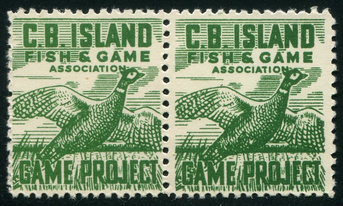 0089NS2505 - NSG1g - Mint Pair, Missing Feather Variety