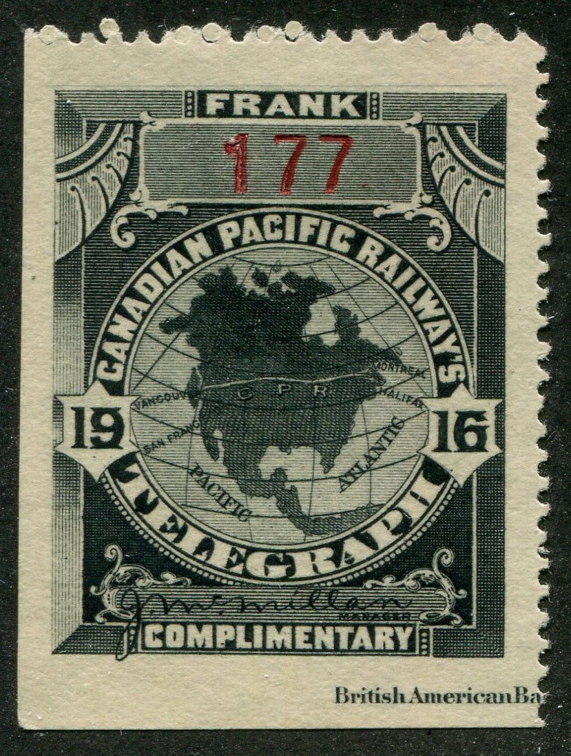 0029CP2604 - TCP29 - Mint