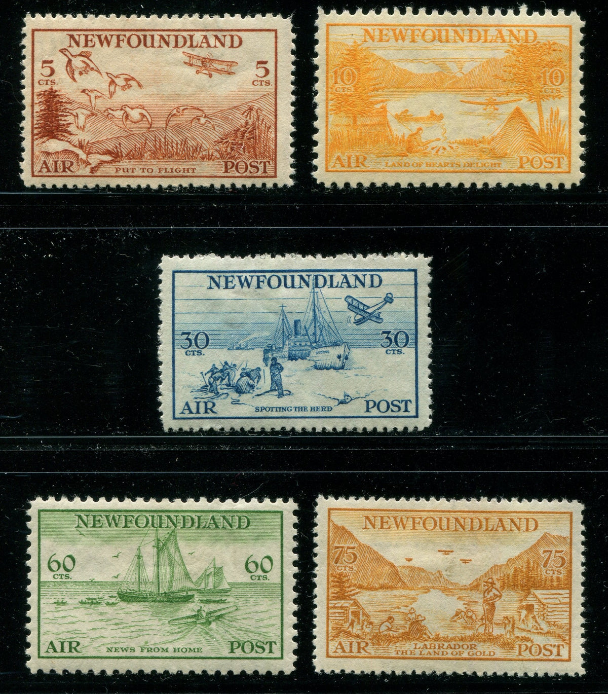 0283NF2511 - Newfoundland C13-C17 - Mint Set