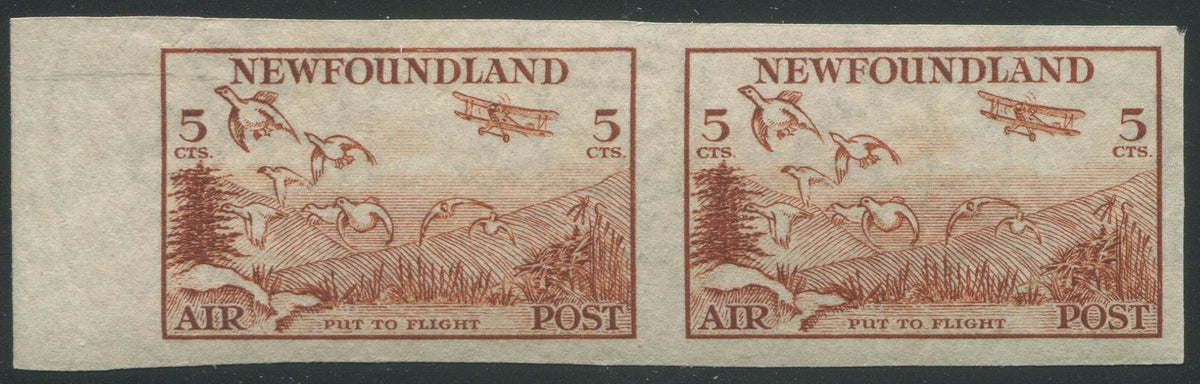 0283NF2403 - Newfoundland C13a - Mint Imperf Pair