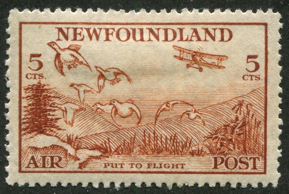0283NF2507 - Newfoundland C13iii - Mint