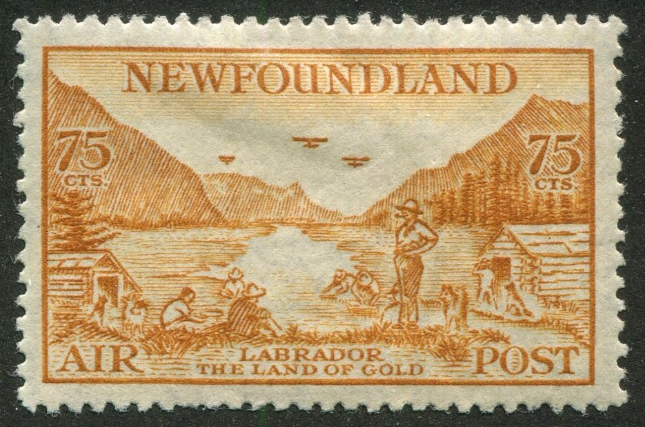0287NF2507 - Newfoundland C17 - Mint