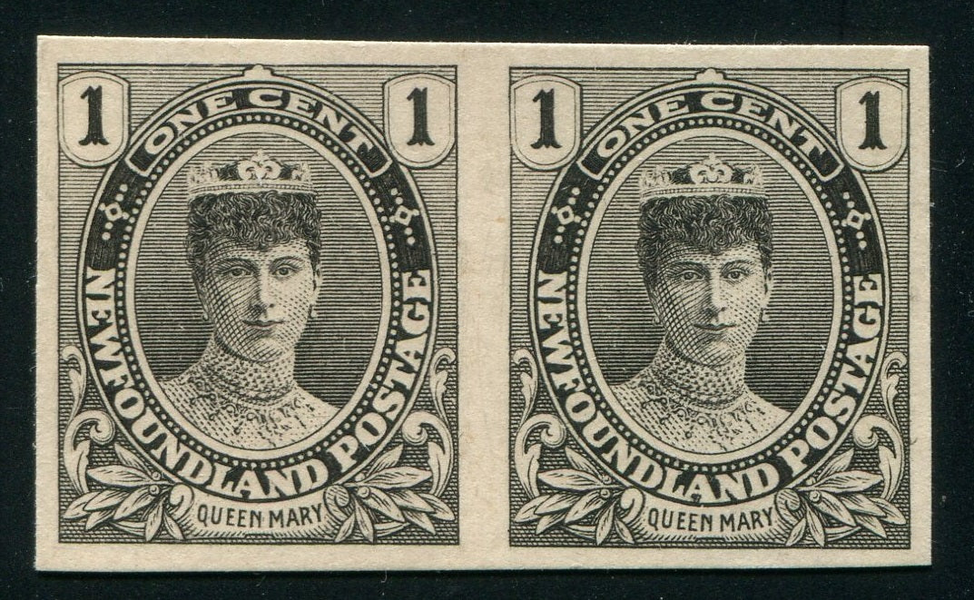 0104NF2410 - Newfoundland #104P - Plate Proof Pair