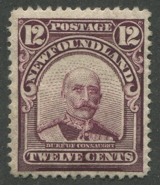 0113NF2311 - Newfoundland #113 - Mint