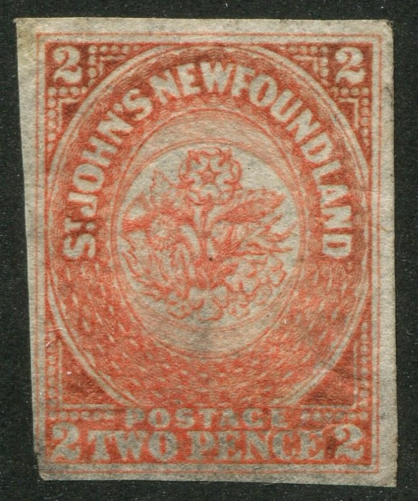 0011NF2507 - Newfoundland #11 - Mint