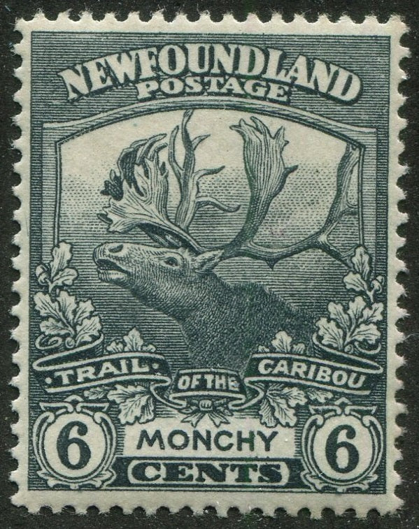 0120NF2509 - Newfoundland #120 - Mint
