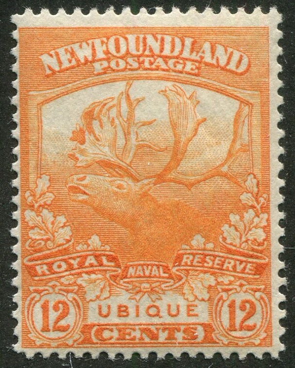 0123NF2511 - Newfoundland #123 - Mint