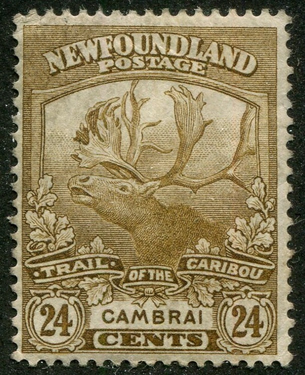 0125NF2508 - Newfoundland #125 - Mint