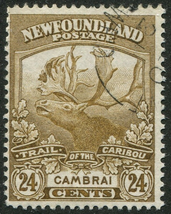 0125NF2404 - Newfoundland #125 - Used
