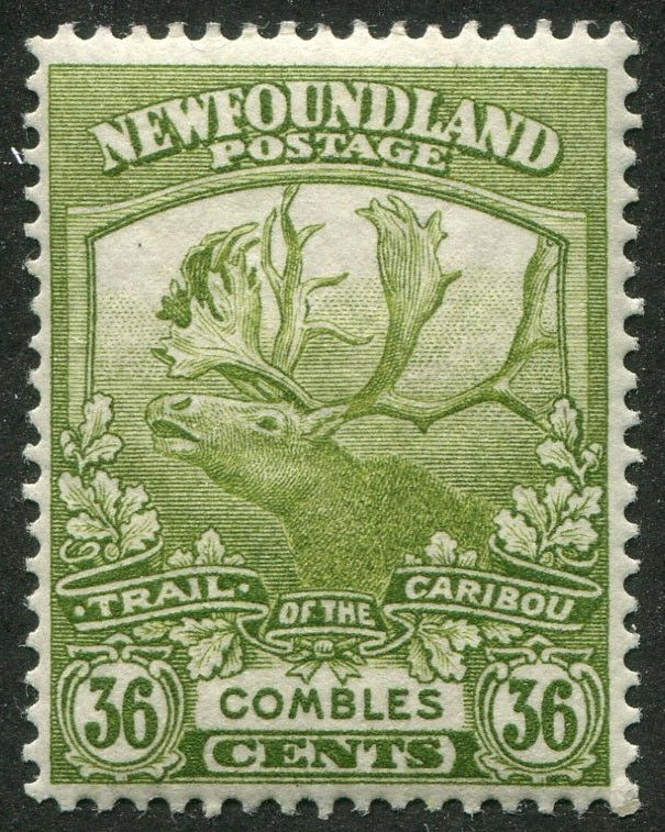 0126NF2507 - Newfoundland #126 - Mint
