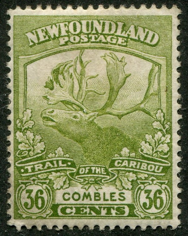 0126NF2508 - Newfoundland #126 - Mint