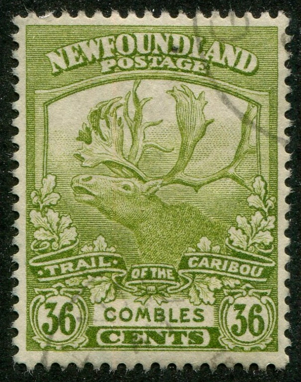 0126NF2508 - Newfoundland #126 - Used