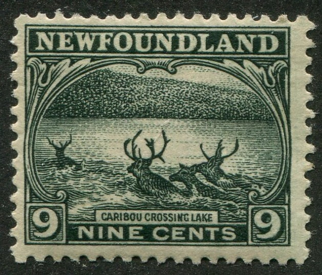 0138NF2410 - Newfoundland #138 - Mint