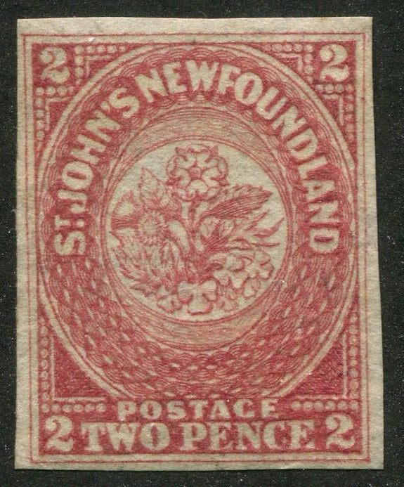 0017NF2507 - Newfoundland #17 - Mint