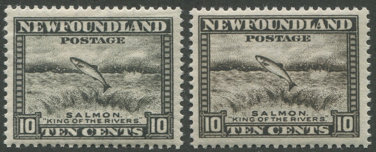 0193NF2306 - Newfoundland #193 - Mint Colour Error