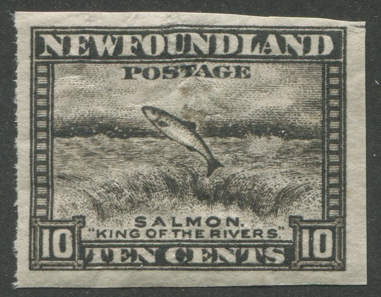 0193NF2306 - Newfoundland #193a - Mint Imperf Single