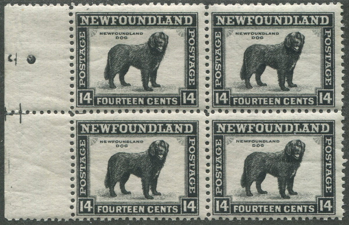 0194NF2305 - Newfoundland #194 - Mint Block of 4
