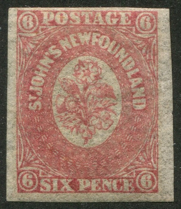 0020NF2511 - Newfoundland #20 - Mint