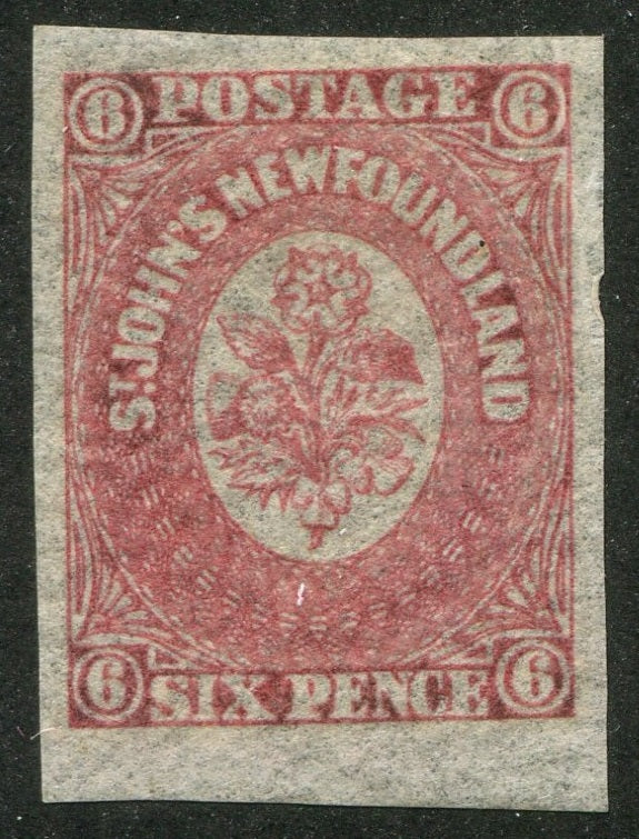 0020NF2607 - Newfoundland #20 - Mint