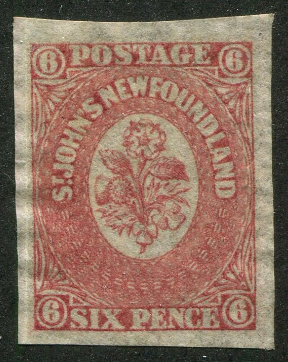 0020NF2607 - Newfoundland #20 - Mint