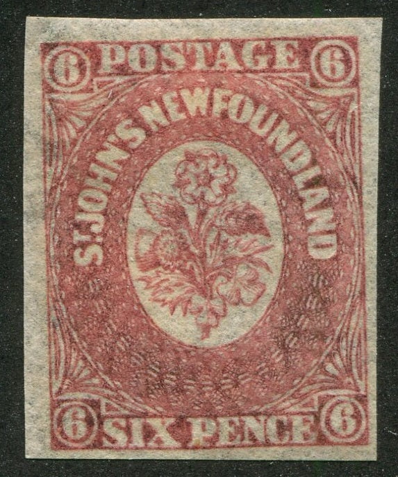 0020NF2507 - Newfoundland #20ii - Mint, Watermarked