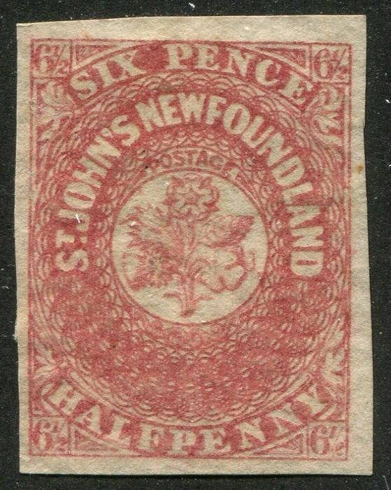 0021NF2507 - Newfoundland #21 - Mint