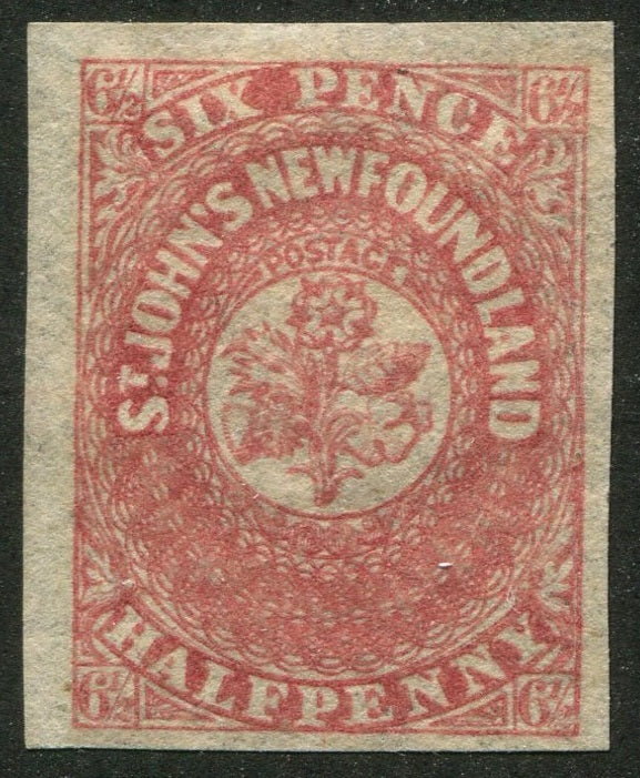 0021NF2508 - Newfoundland #21 - Mint