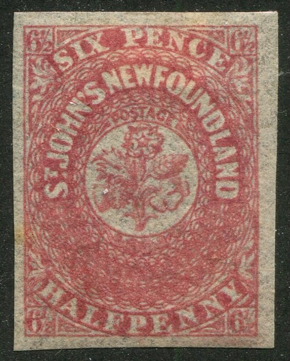 0021NF2511 - Newfoundland #21 - Mint