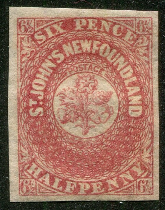 0021NF2603 - Newfoundland #21 - Mint