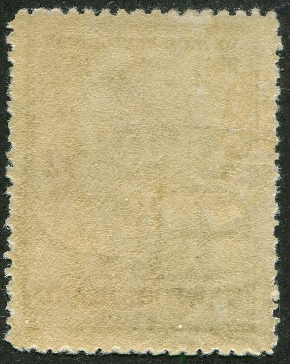 0225NF2506 - Newfoundland #225 - Mint, Unlisted Pinperf