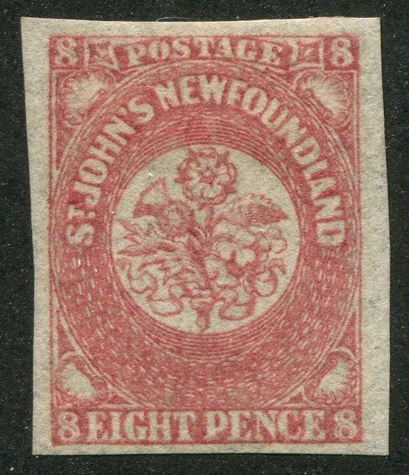 0022NF2607 - Newfoundland #22 - Mint