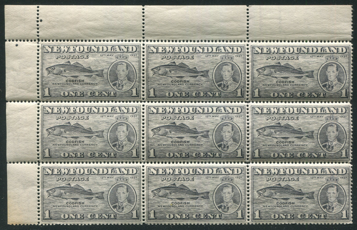 0233NF2505 - Newfoundland #233 - Mint Corner Block of 9