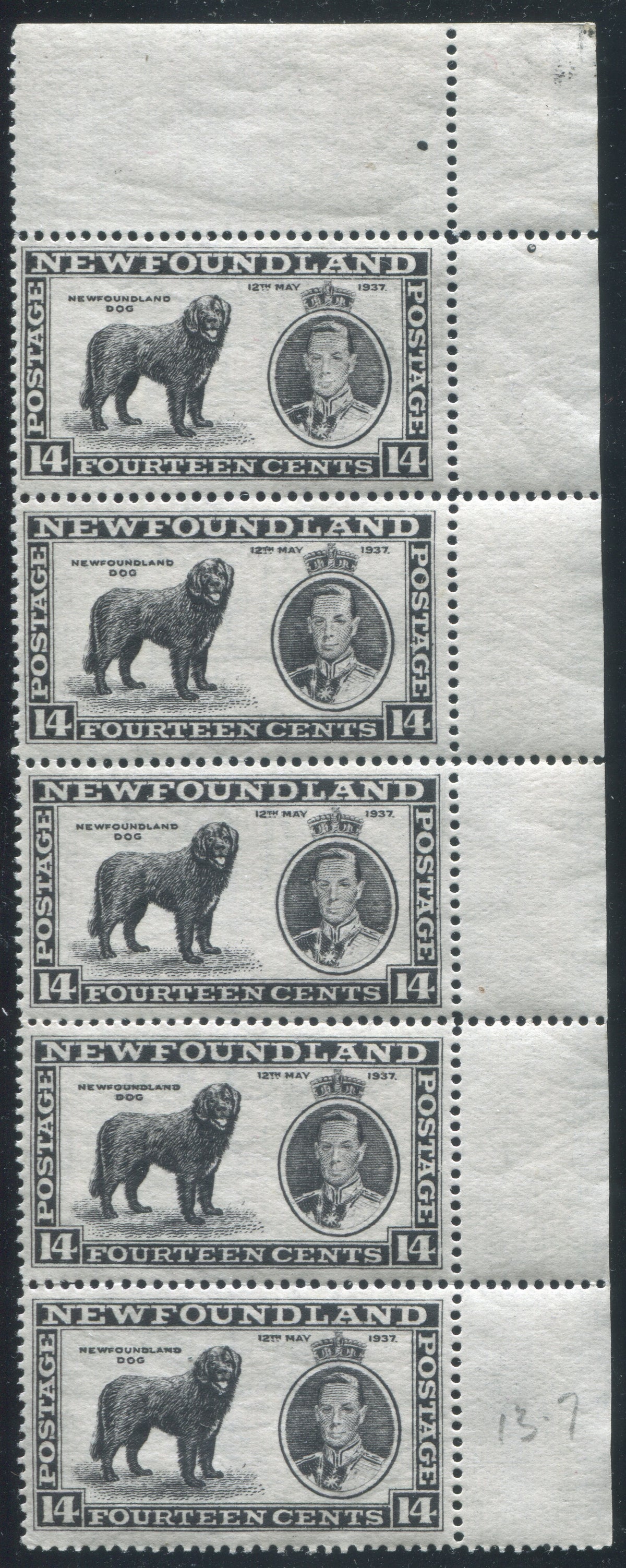 0238NF2307 - Newfoundland #238i,vi,vii,viii,ix - Mint Major Re-Entry Strip of 5