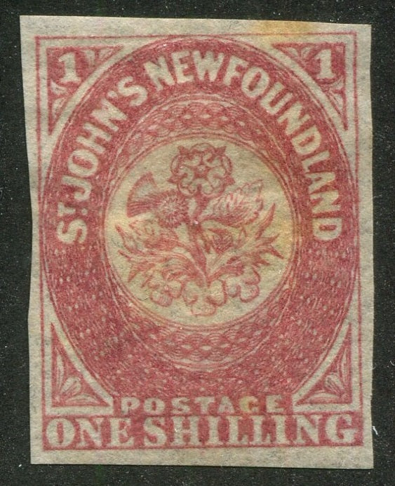 0023NF2507 - Newfoundland #23 - Mint