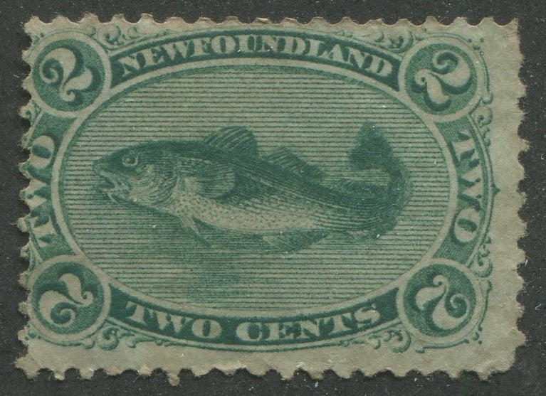 0024NF2311 - Newfoundland #24a - Mint
