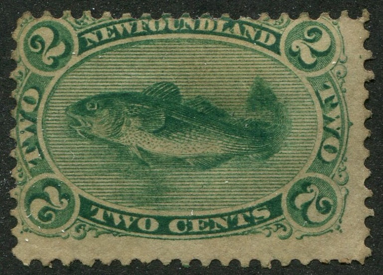 0024NF2508 - Newfoundland #24a - Mint
