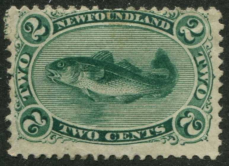 0024NF2506 - Newfoundland #24a - Mint