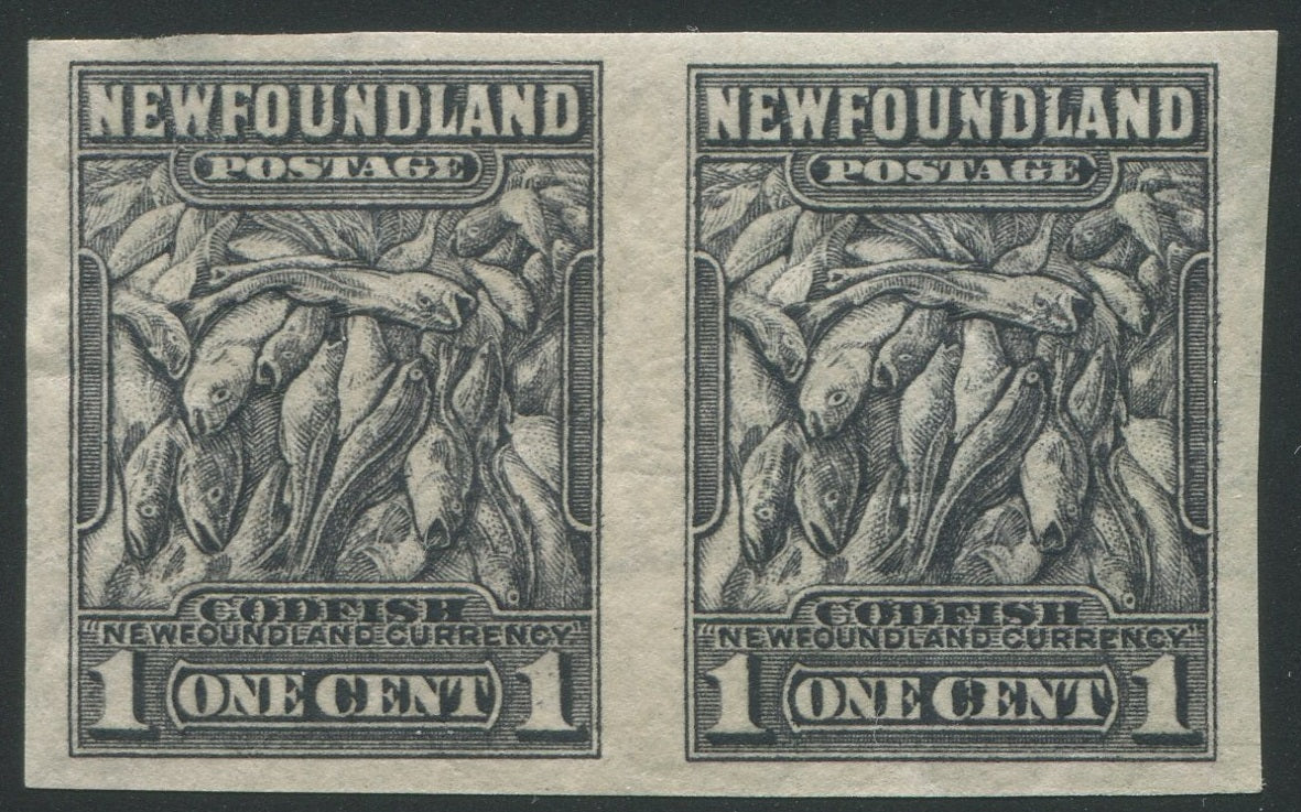 0253NF2306 - Newfoundland #253a - Mint Imperf Pair