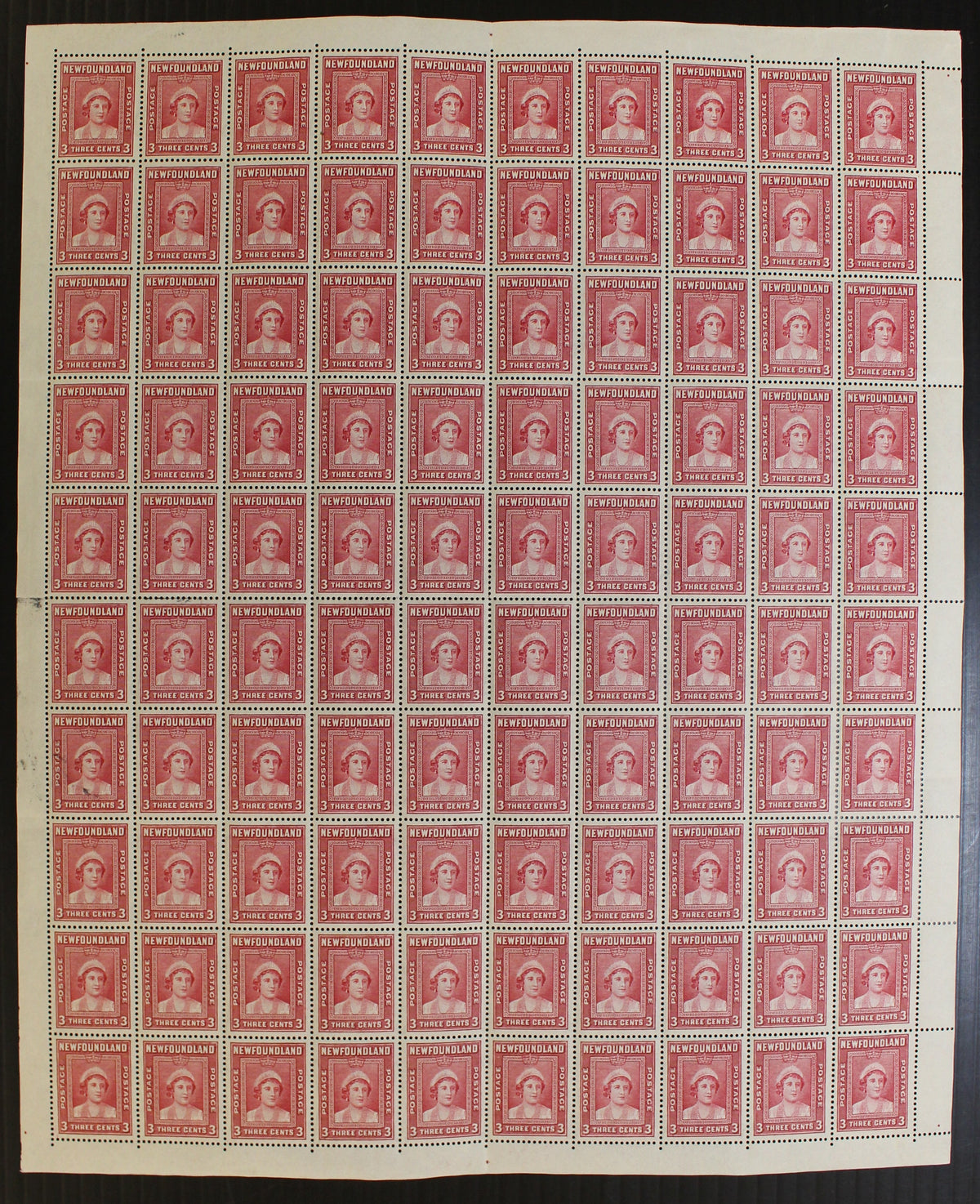 02255NF2508 - Newfoundland #255 - Mint  Pane of 100