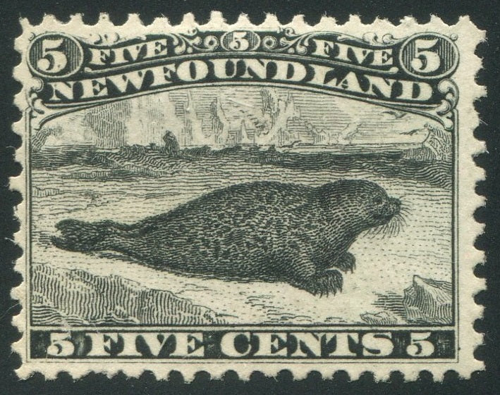 0026NF2507 - Newfoundland #26 - Mint
