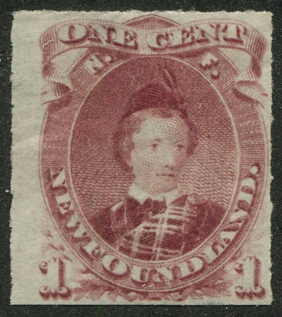 0037NF2507 - Newfoundland #37 - Mint