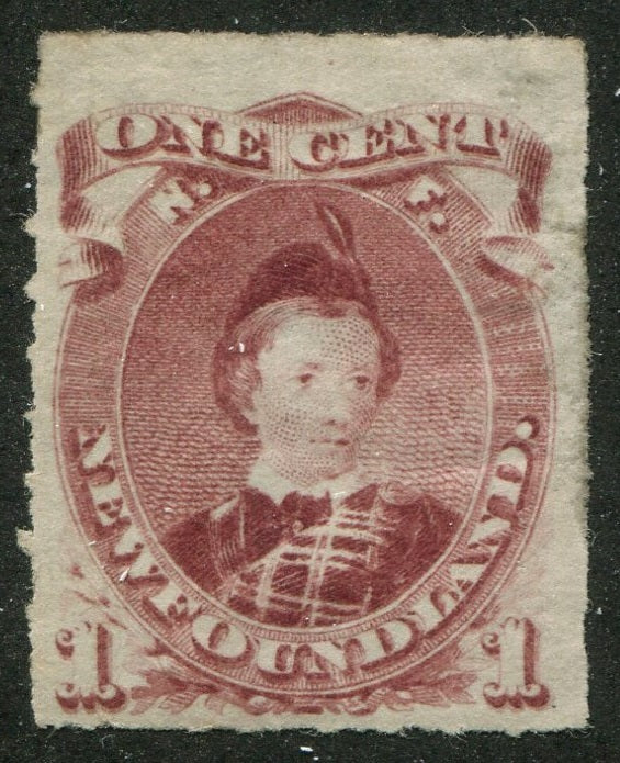 0037NF2607 - Newfoundland #37 - Mint