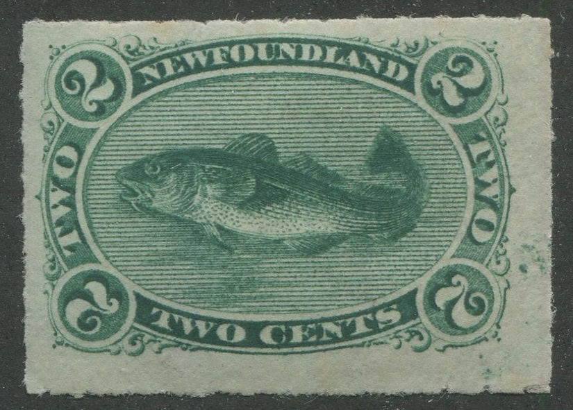 0038NF2311 - Newfoundland #38 - Mint
