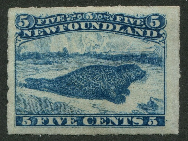 0040NF2507 - Newfoundland #40 - Mint
