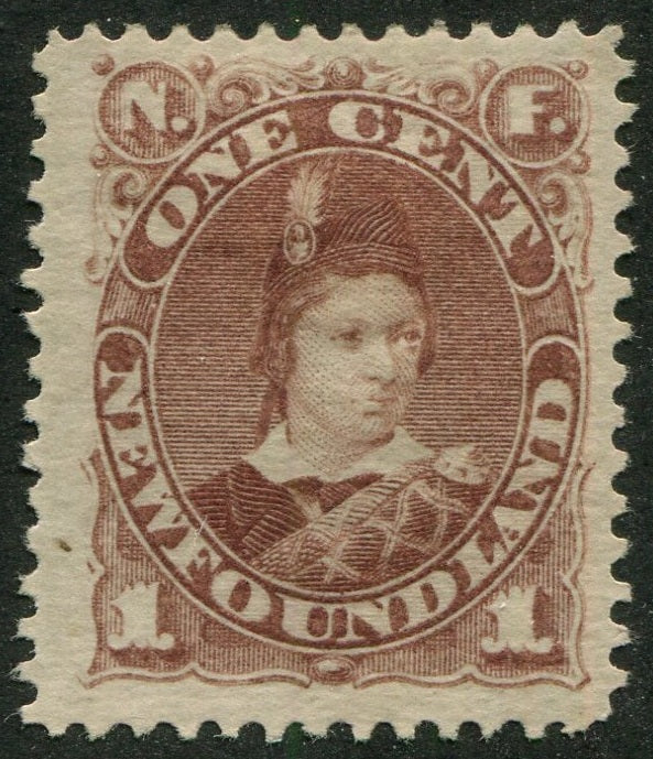 0041NF2508 - Newfoundland #41 - Mint